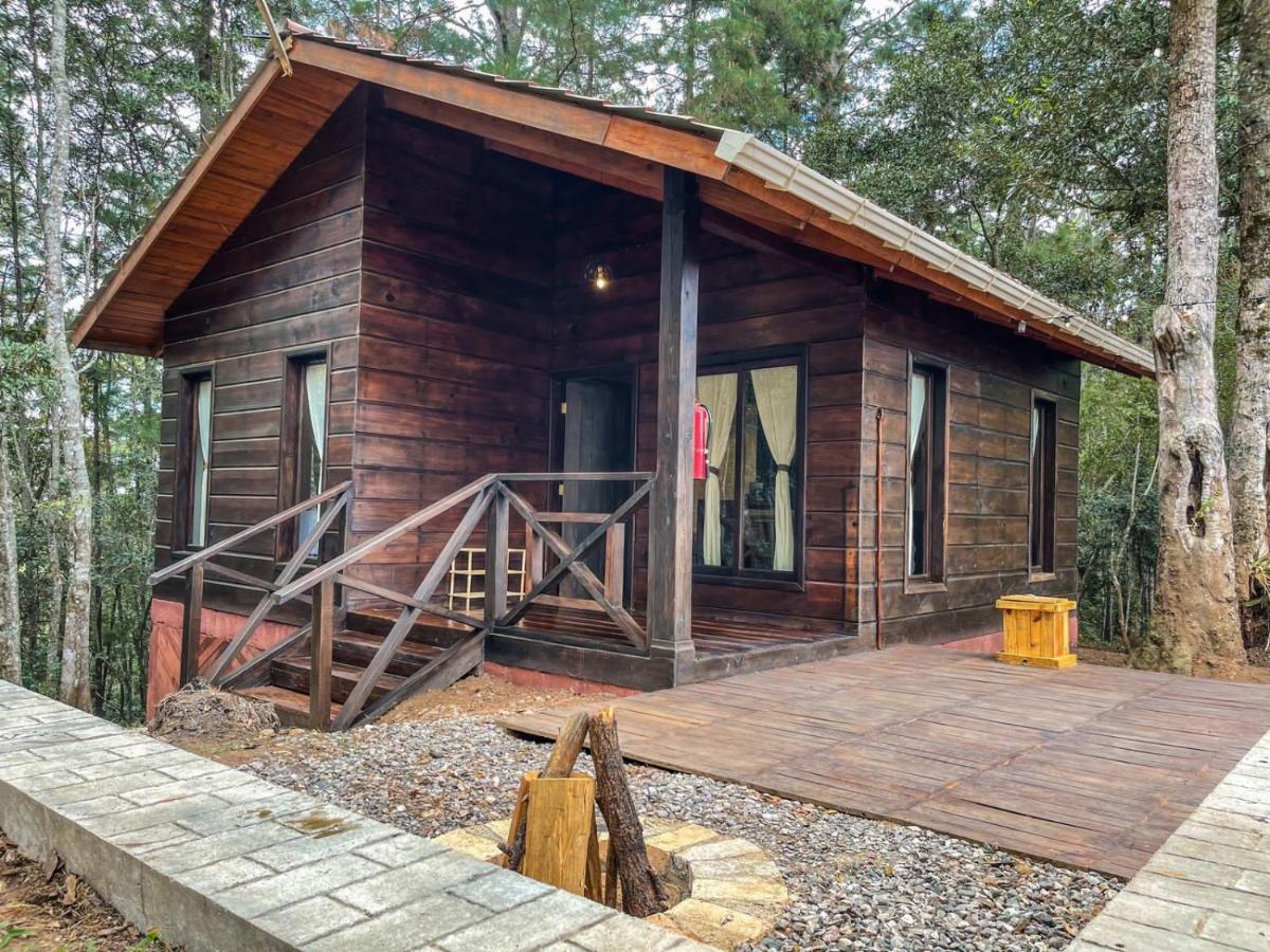 Cotan Ecolodge 라에스페란사 외부 사진