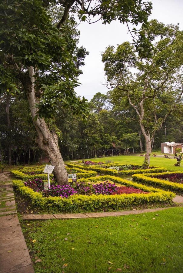 Cotan Ecolodge 라에스페란사 외부 사진