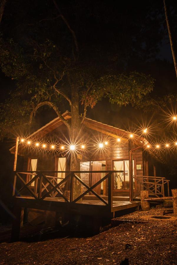 Cotan Ecolodge 라에스페란사 외부 사진