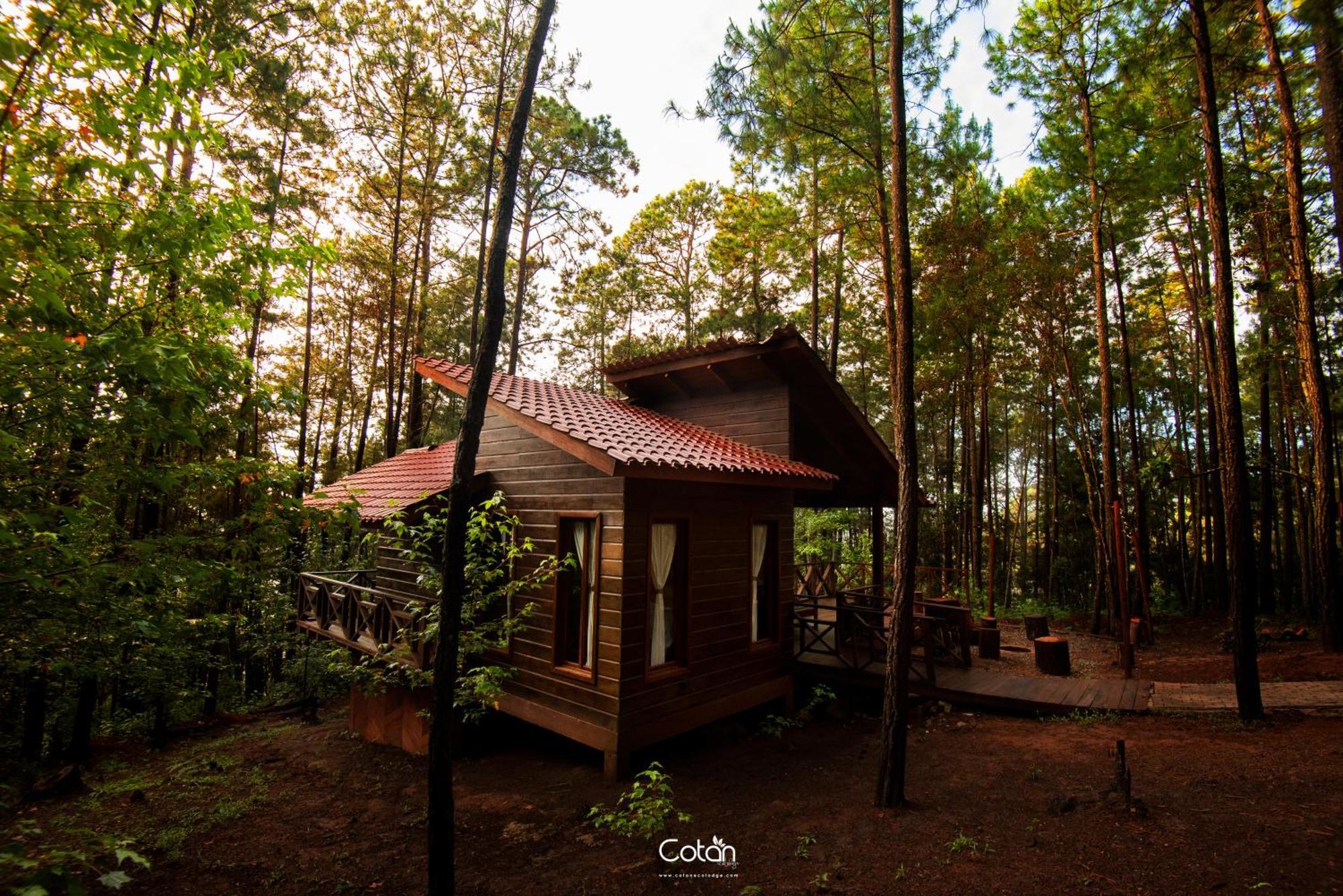 Cotan Ecolodge 라에스페란사 외부 사진